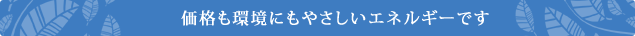 価格も環境にもやさしいエネルギーです